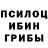 Галлюциногенные грибы MAGIC MUSHROOMS LeGA_LaYZy 25