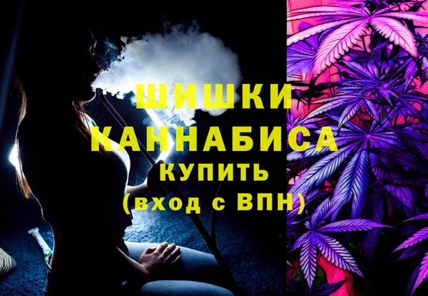 хмурый Белокуриха