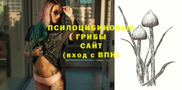 ALPHA PVP Беломорск
