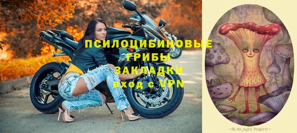ALPHA PVP Беломорск