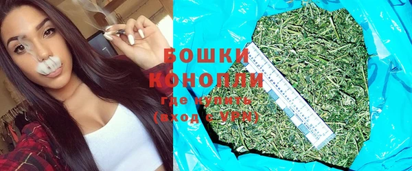 хмурый Белокуриха