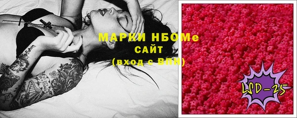 хмурый Белокуриха