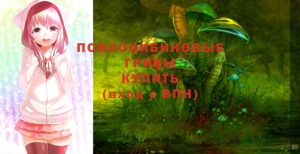 ALPHA PVP Беломорск