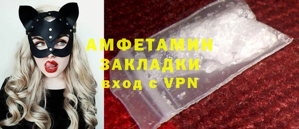хмурый Белокуриха